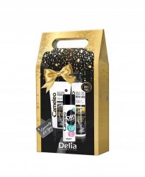 Delia Cameleo Zestaw Kosmetyków Do Włosów Zniszczonych Szampon 250ml + odżywka 200ml + suchy szampon 50ml